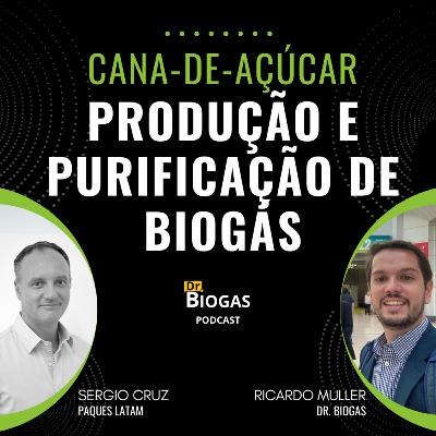 REDUZINDO CAPEX EM PLANTA DE BIOMETANO: Inovações para Usinas de Cana-de-Açúcar (Dr. Biogas Podcast)