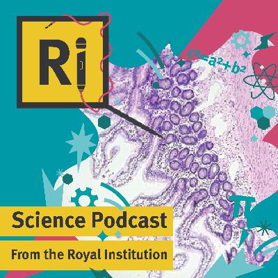 What can dogs teach us about the microbiome? - with Bushra Schuitemaker What can dogs teach us about the microbiome? - with Bushra Schuitemaker