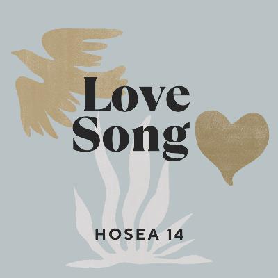 LOVE SONG - Hosea 14