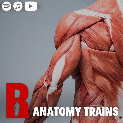 #154 Anatomy Trains - Smarter Training Through Fascia