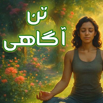 مدیتیشن تن آگاهی