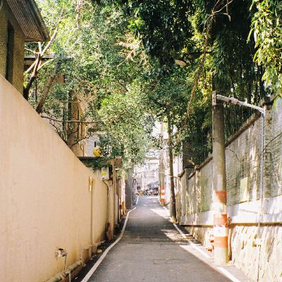 春分时节 树岛序春给你无言深拥