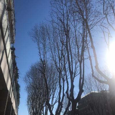 L’anima vola .....