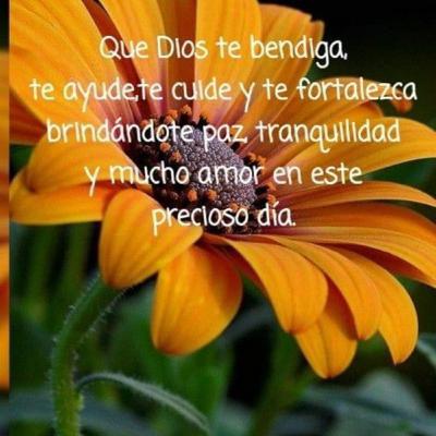 Meditación para manifestar. Ondas theta.