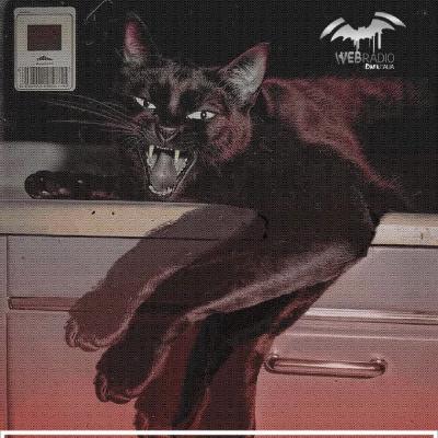 🖤 Analogic Love il Cielo Sopra Spadino - 14-10-2025 🖤