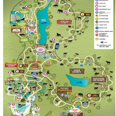 why it is important to not cut down trees