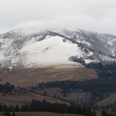 This Week in Yellowstone: October 23rd to October 29th, 2025