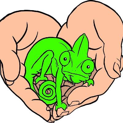 Episode 17 - Reptile Rescue Realities Episode 17 - Reptile Rescue Realities