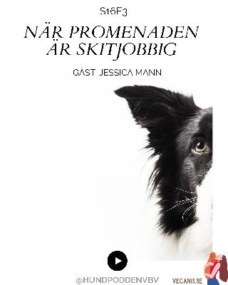 När promenaden är skitjobbig – med Jessica Mann När promenaden är skitjobbig – med Jessica Mann