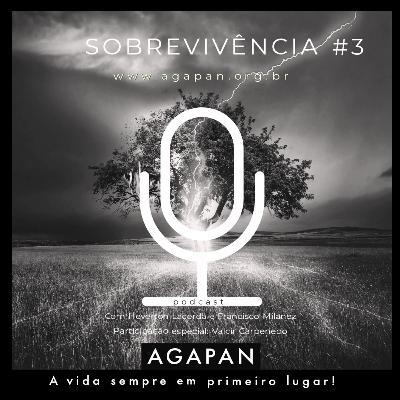 SOBREVIVÊNCIA #3 | CLIMA SOBREVIVÊNCIA #3 | CLIMA