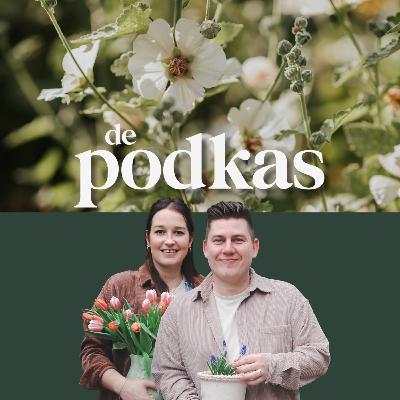 Terugblik op de zomer | Successen en mislukkingen | Weetje over de Kievit - De Podkas #S3E1: