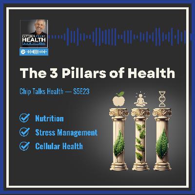 The Three Pillars of Health — How to Strengthen the Foundations of Your Wellness (S5E23)