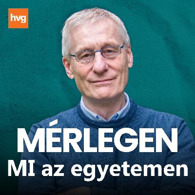 „Az AI-nak néha olyan hibái vannak, amiket lábon kihordott infarktus nélkül nehéz elviselni”
