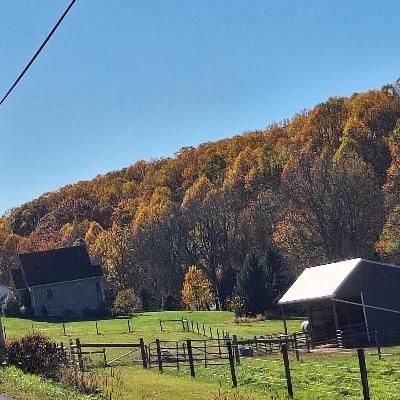 26. Puntata 10 Racconti Di Vita A Trani 1 Una Passeggiata DOttobre - Renzo Samaritani