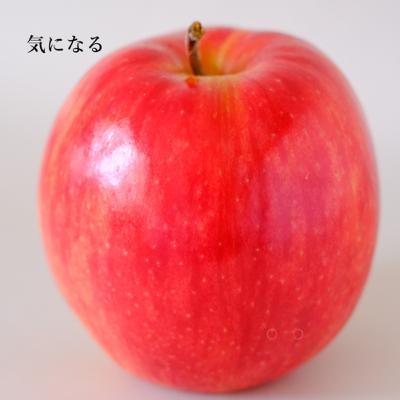＃1「行きよりも、帰り道の方が短く感じる」が気になる。