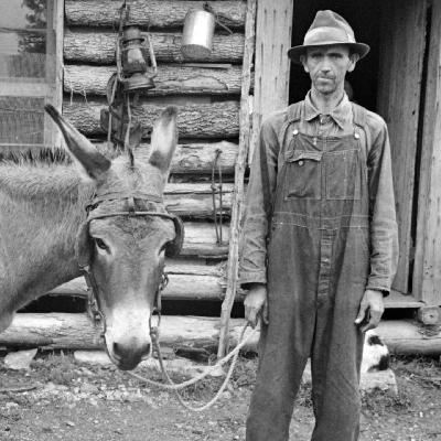 William Faulkner: Als ich im Sterben lag (1/3) William Faulkner: Als ich im Sterben lag (1/3)