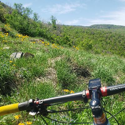 110. I Don't Have a Sports Psychologist, But..