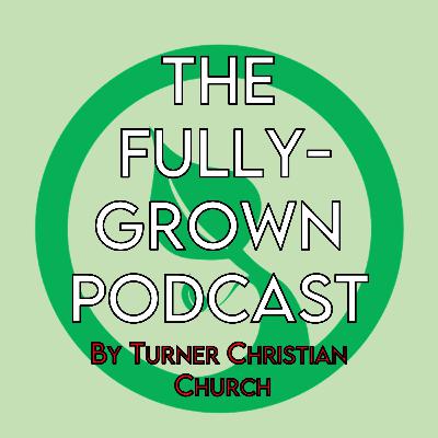 133. The Mission of the Church