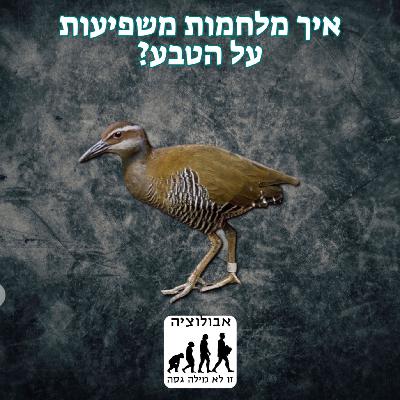 #51 איך מלחמות משפיעות על הטבע
