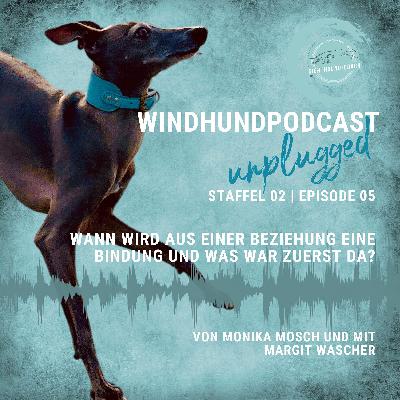Windhunde verstehen. Beziehung oder Bindung – was war zuerst da? Windhunde verstehen. Beziehung oder Bindung – was war zuerst da?