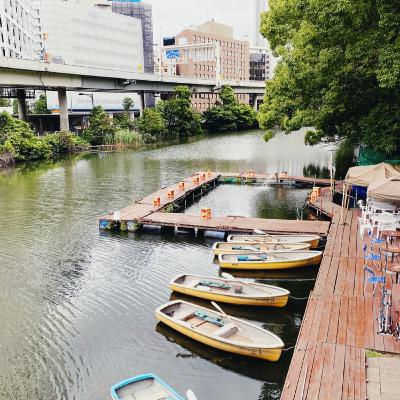 久しぶりに弁慶堀に遊びに行ってきたよ