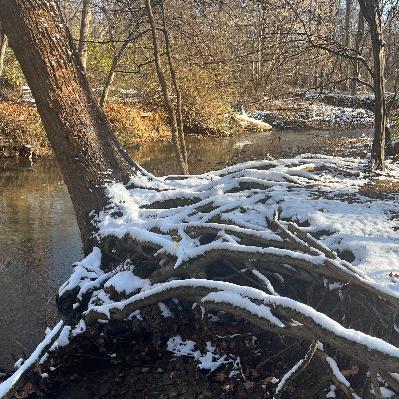 88 对谈碳基梦妮:别把生活成就感、幸福感都绑在一件事上 88 对谈碳基梦妮:别把生活成就感、幸福感都绑在一件事上