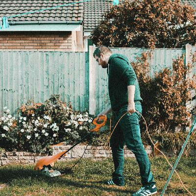 Fall Lawn Care: Mowing, Fertilizing, and More!