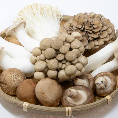 #177 キノコは洗う？