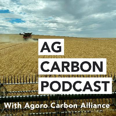 Verifying Carbon Credits