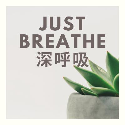 Episode 23. 结婚，你准备好了吗 | 来听听婚姻治疗师的意见