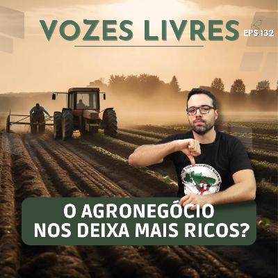Catástrofe no RS mostra que devemos decrescer o agronegócio?