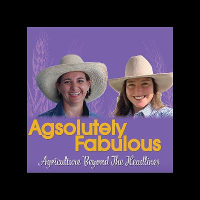 #56 Farmers Fight Transmission Lines, Young Rodeo Prodigy Rises, Beef Myths Busted & Ag Leadership Wins