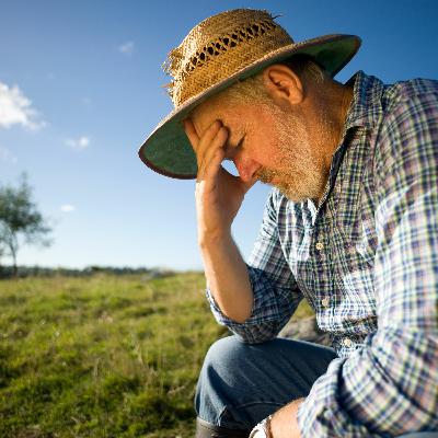 Frontline News Roundup 29 July 2022