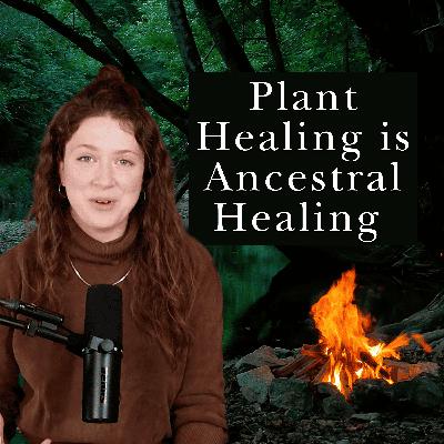 Plant Healing is Ancestral Healing