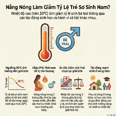 Vì Sao Tỷ Lệ Sinh Bé Trai Lại Giảm Khi Nhiệt Nhiệt Độ Tăng ? 🔥⚖️ Vì Sao Tỷ Lệ Sinh Bé Trai Lại Giảm Khi Nhiệt Nhiệt Độ Tăng ? 🔥⚖️