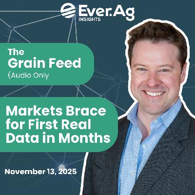 The Grain Feed (Audio Only) - Markets Brace for First Real Data in Months The Grain Feed (Audio Only) - Markets Brace for First Real Data in Months