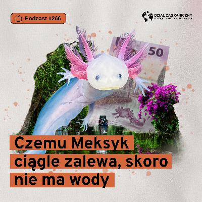 Czemu Meksyk ciągle zalewa, skoro nie ma wody (Dział Zagraniczny Podcast#266) Czemu Meksyk ciągle zalewa, skoro nie ma wody (Dział Zagraniczny Podcast#266)