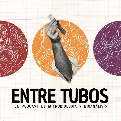 El otro sabor de la comida callejera