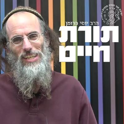 תורת חיים: פרק 5 - הרב יוסי פרומן