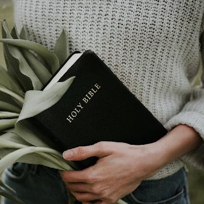 သမ္မာတရားကို ပိုင်းခြားသိခြင်း