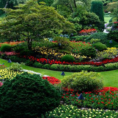 Tara Bernardin | Time To Beautify The Backyard