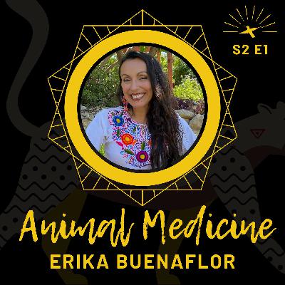 Animal Medicine with Curandera Erika Buenaflor Animal Medicine with Curandera Erika Buenaflor