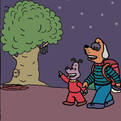 barnie and toto | A night walk