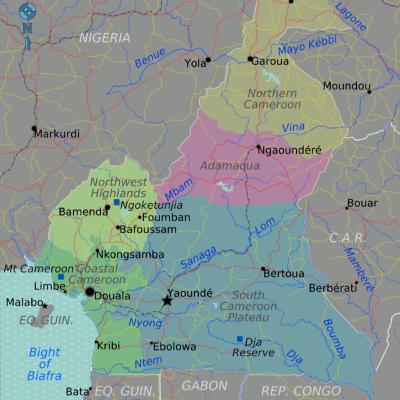 Úlceras das heranças coloniais na guerra civil em Camarões Úlceras das heranças coloniais na guerra civil em Camarões