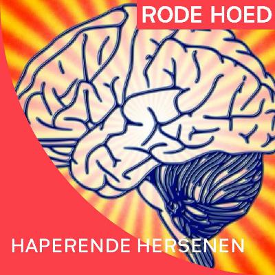 Bert Keizer Kiest - Haperende Hersenen
