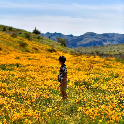 Summer Fun Facts Summer Fun Facts