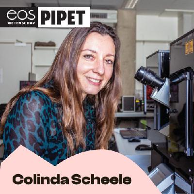 Waarom worden niet alle mutaties kanker? - Eos Pipet 2025