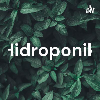 Hidroponik