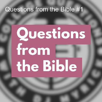 Questions From the Bible #1 Questions From the Bible #1