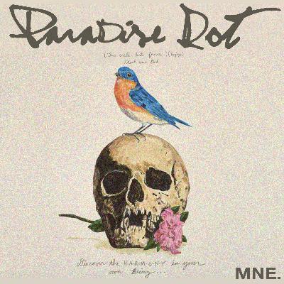 "A CONSPIRAÇÃO CONTRA A RAÇA HUMANA" (Caso 3: Mathilde Schleicher)